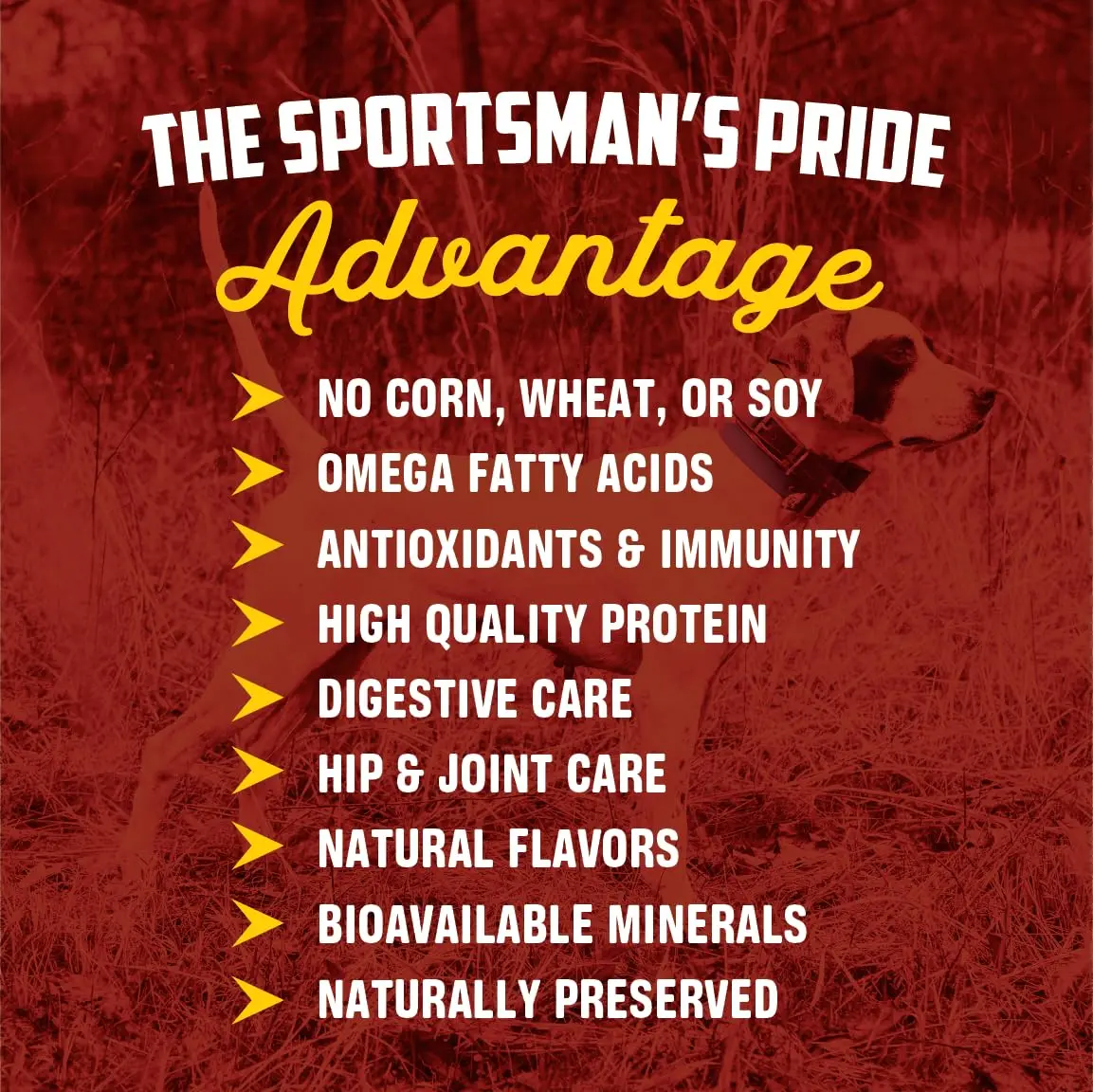 Sportsman's Pride Field Master 30/20 High-Protein Dry Dog Food 40 lb | Supports Joint & Coat Health - view 6