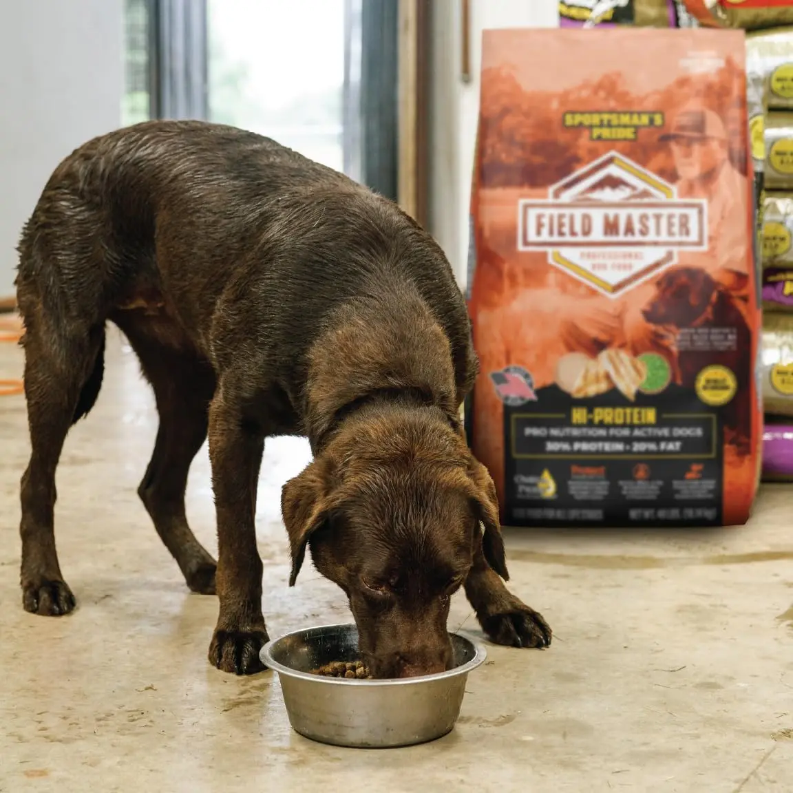 Sportsman's Pride Field Master 30/20 High-Protein Dry Dog Food 40 lb | Supports Joint & Coat Health - view 8