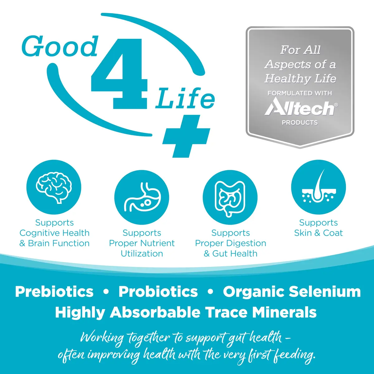 NutriSource Element Series Chicken & Duck Freeze Dried Raw Bites | Supports All Life Stages & Gut Health - view 5