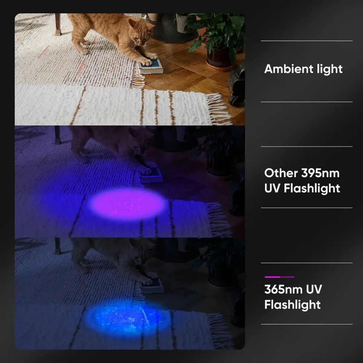 LUXNOVAQ 30W UV Flashlight USB Rechargeable with Filter Lens | 191g (6.7oz) - view 7