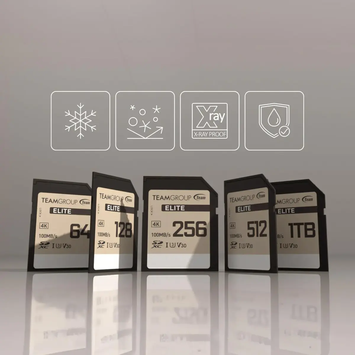 TEAMGROUP Elite 1TB SDXC UHS-I U3 V30 Memory Card | 100MB/s Read Speed for 4K UHD Recording - view 4