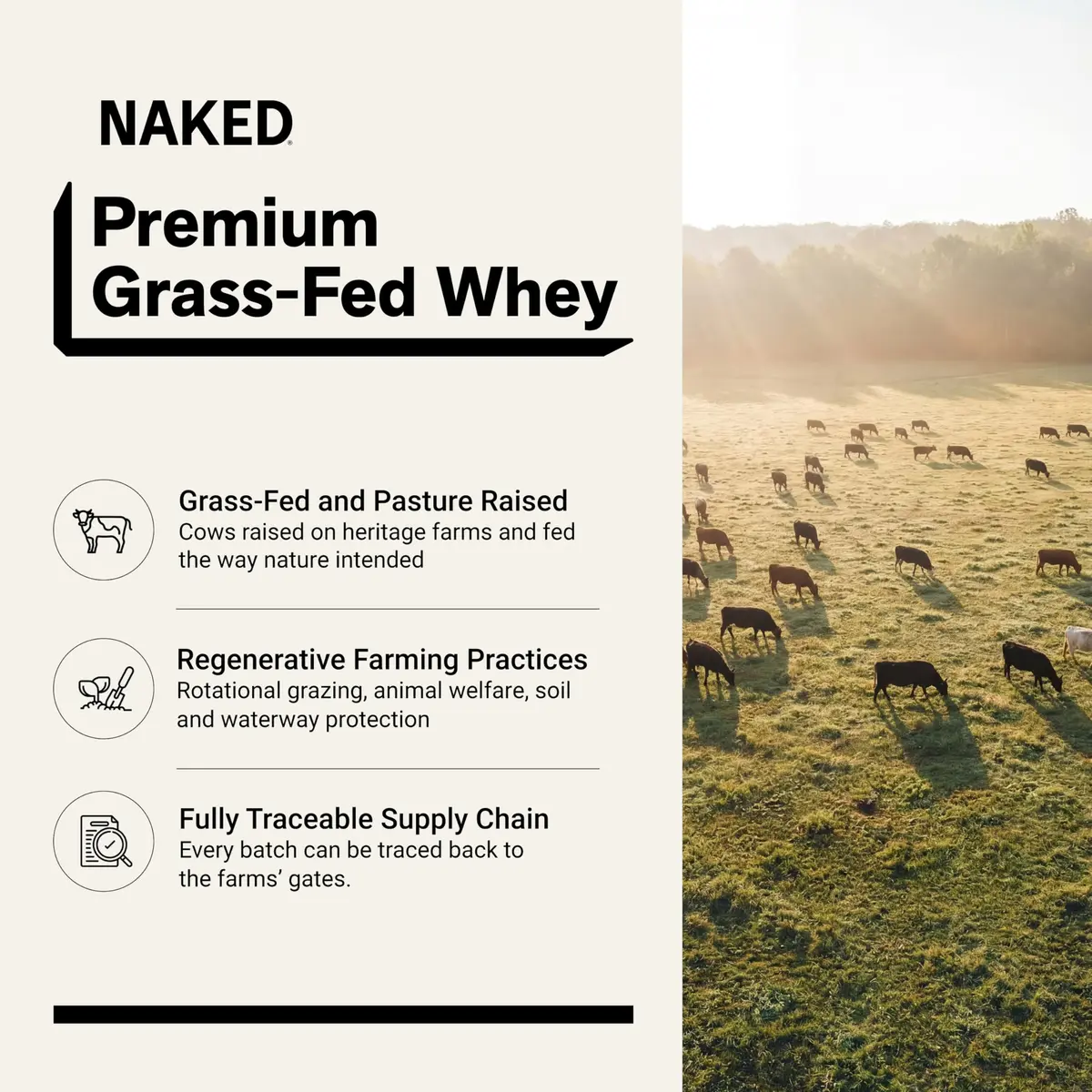 NAKED Whey Chocolate Peanut Butter Grass Fed Protein Powder 2.27 kg (5 lb) | Aid Muscle Growth and Recovery - view 2