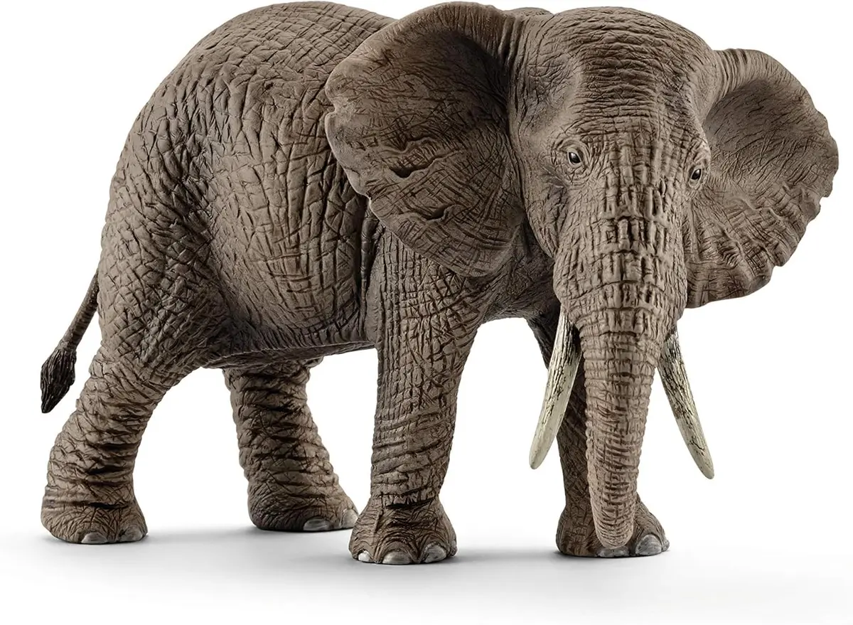 Schleich African Elephant Female Figurine 14.5 cm (5.7 inches) | Realistic Wildlife Toy for Kids Ages 3+ - main product image