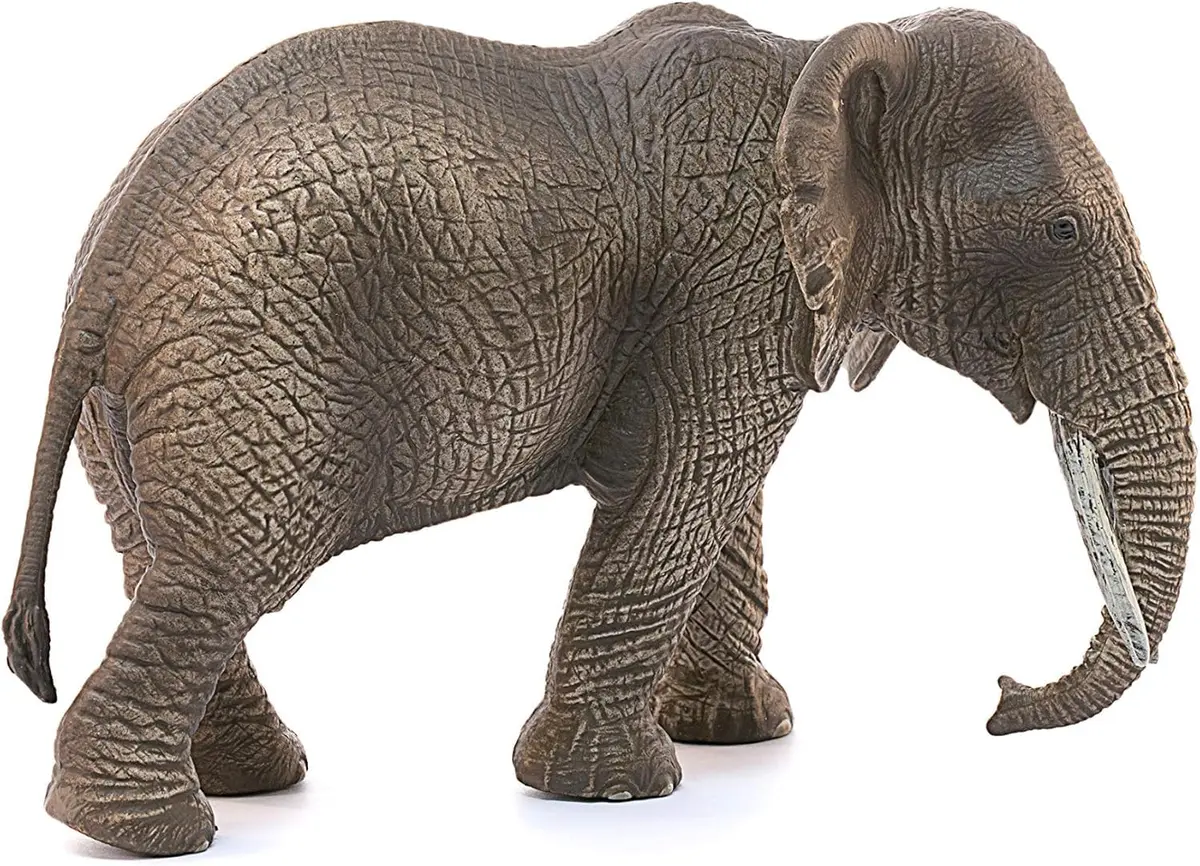 Schleich African Elephant Female Figurine 14.5 cm (5.7 inches) | Realistic Wildlife Toy for Kids Ages 3+ - view 9