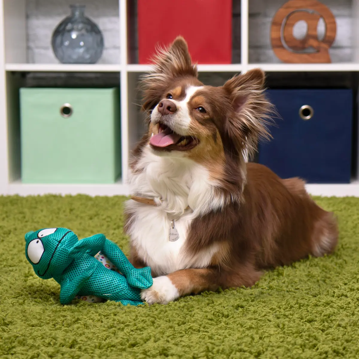 goDog Double Chew Guard Mesh Amphibianz Chameleon Squeaky Dog Toy - Teal, Large - view 5