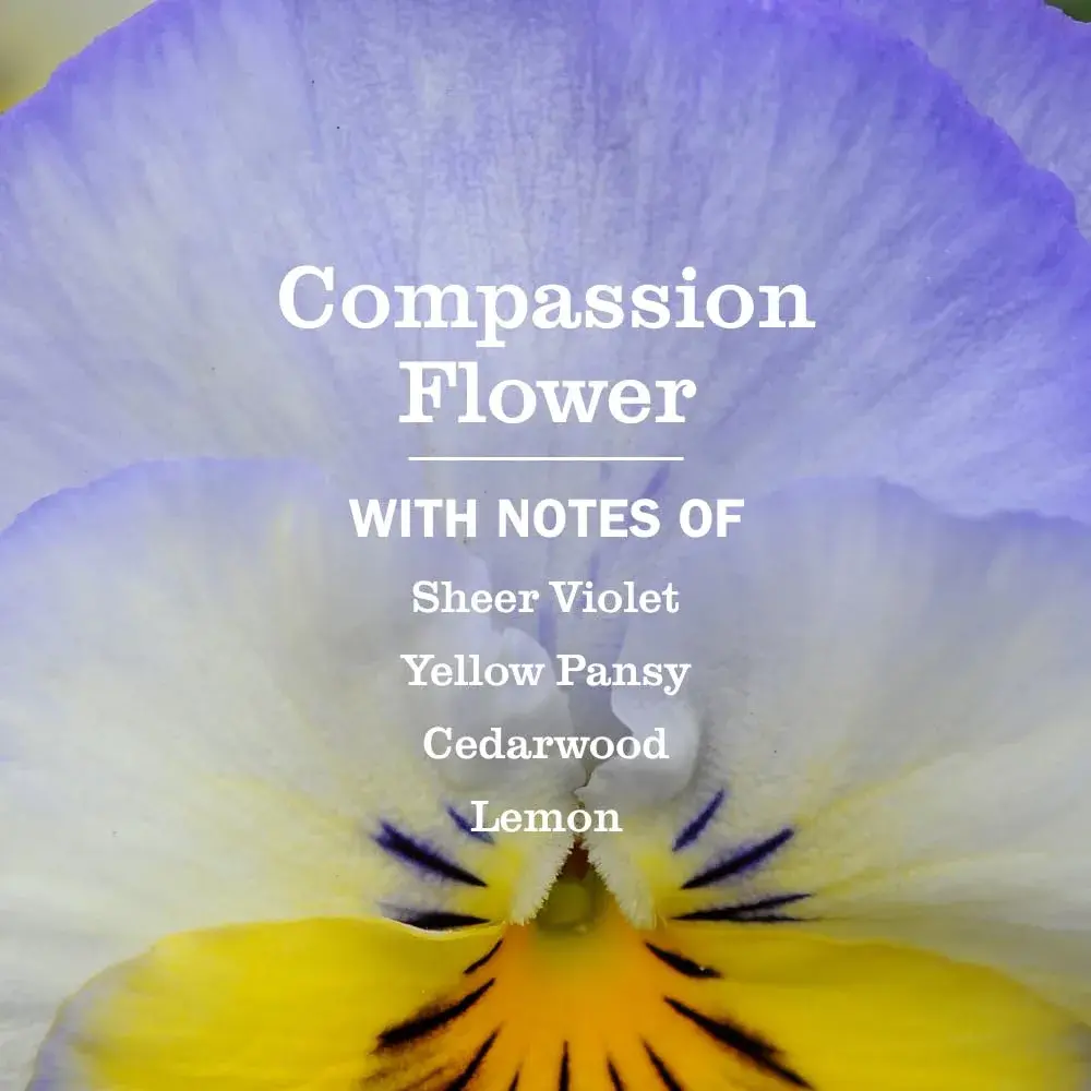 Mrs. Meyer's Clean Day Liquid Dish Soap Refill Compassion Flower Scent 48 fl oz (1.4 L) | Gentle & Effective - view 2