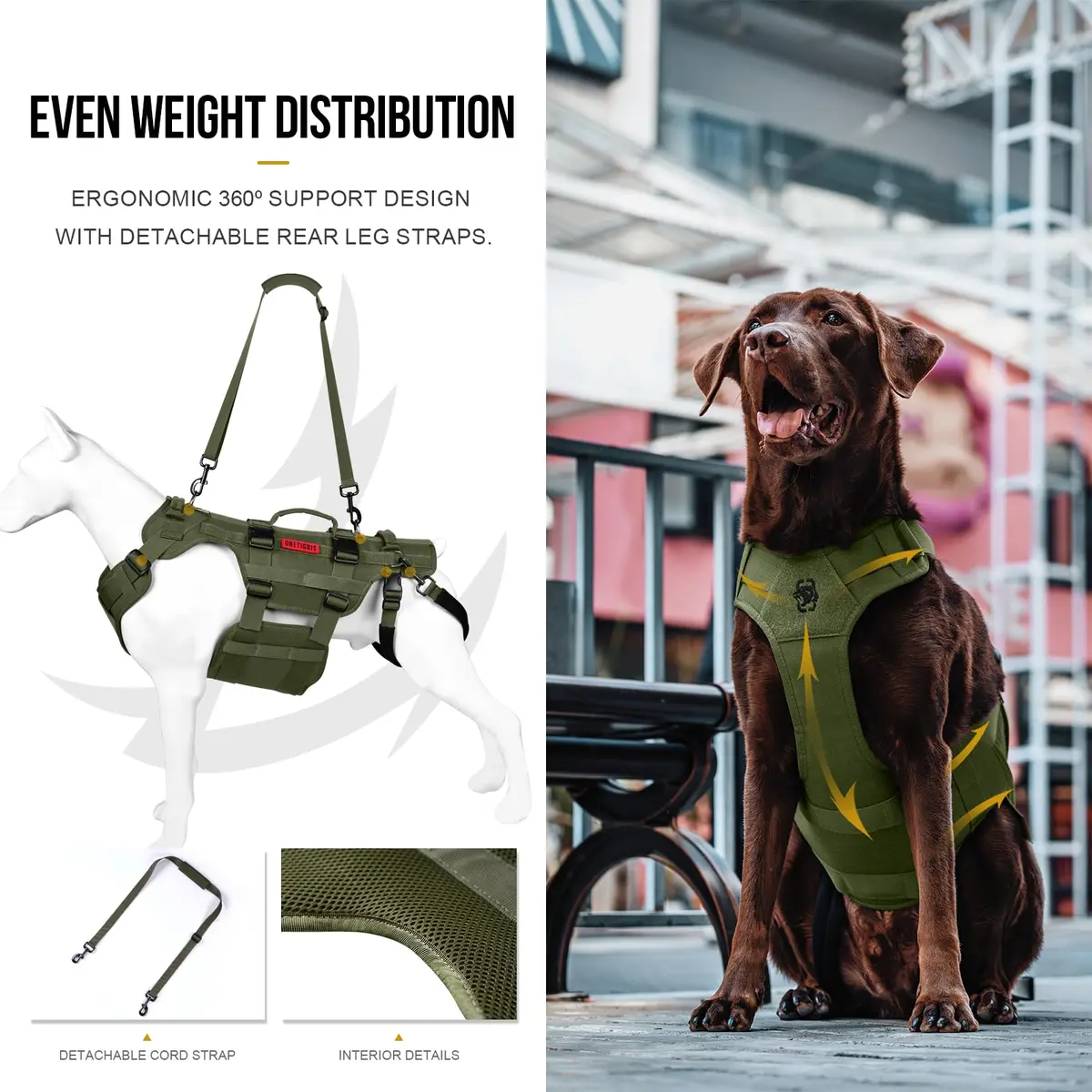 ONETIGRIS Dog Lift Harness for Large Dogs | Full Body Hip Support & Handles (Small) - view 4