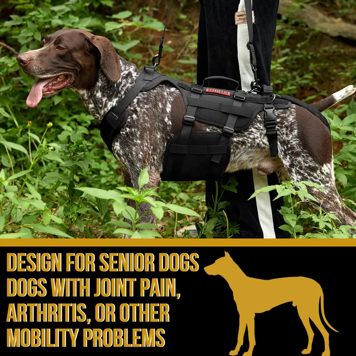 ONETIGRIS Dog Lift Harness for Small Dogs | Full Body Support with Handles, Mobility Aid, Hip Brace (Black, Small) - view 5