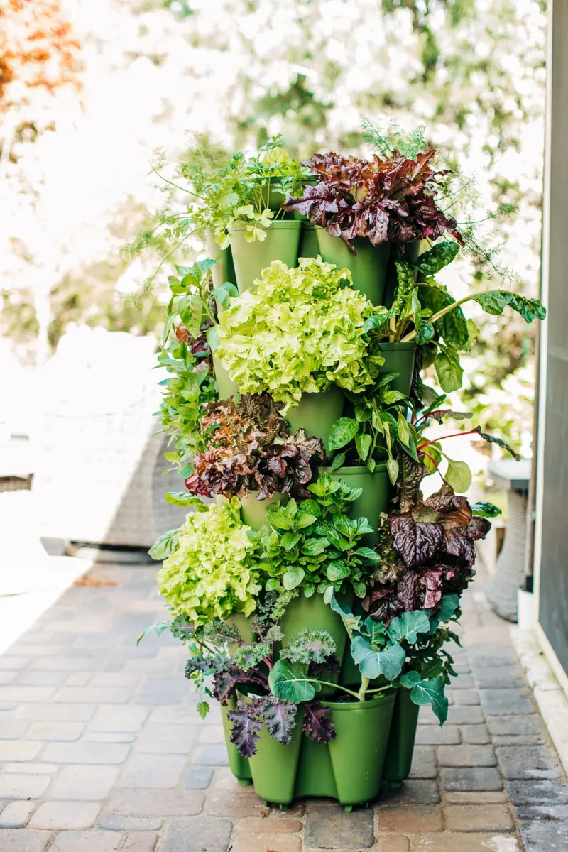 Greenstalk Large 5 Tier Vertical Garden Planter with Watering System | Grow Vegetables, Herbs & Flowers - view 2