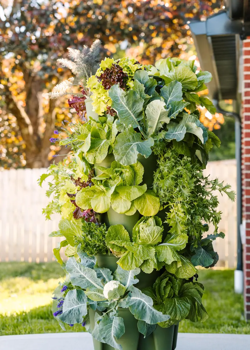 Greenstalk Large 5 Tier Vertical Garden Planter with Watering System | Grow Vegetables, Herbs & Flowers - view 4