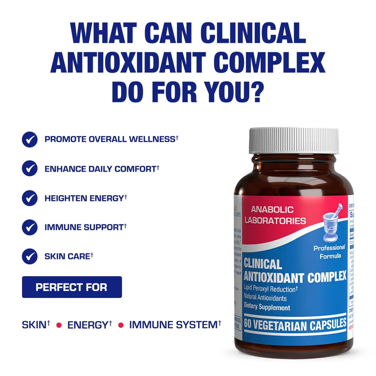 Anabolic Laboratories Superfood Based Potent Antioxidant Supplement 60 Capsules | Broad Spectrum Herbal Blend for Daily Wellness - view 5