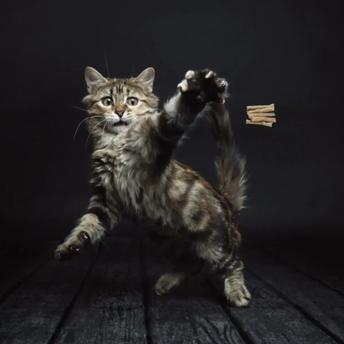 Cat Dancer Interactive Cat Toy 2-Pack | Engaging Paper Roll on 30-Inch Steel Wire for Playful Cats - view 2