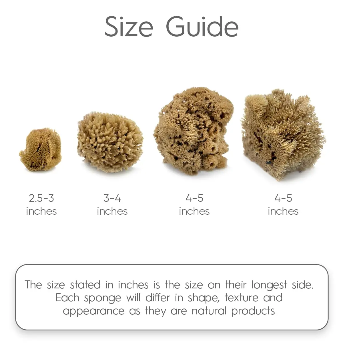 Naroa Artist Natural Sea Sponges for Painting 4 Pack | Unique Tool Set Unbleached | Great for Artists & Children | Acrylic, Watercolor, Marbling, Texturing, Pottery, Ceramics - view 3