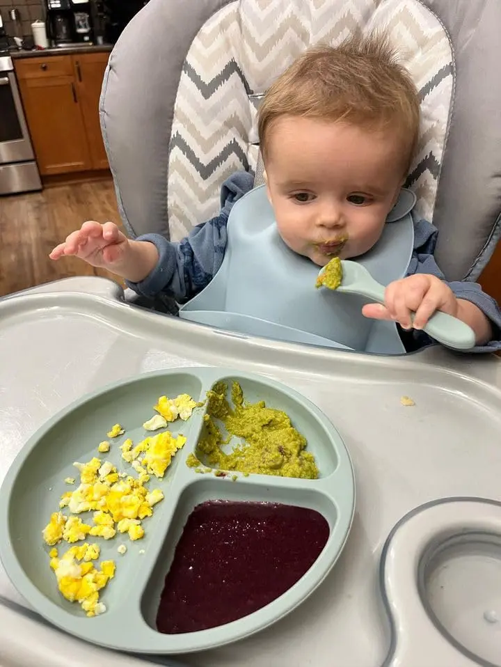 PandaEar 3 Pack Silicone Bibs for Babies & Toddlers, Waterproof Feeding Bib with Large Food Catcher, BPA Free (Blue & Gray) - view 5