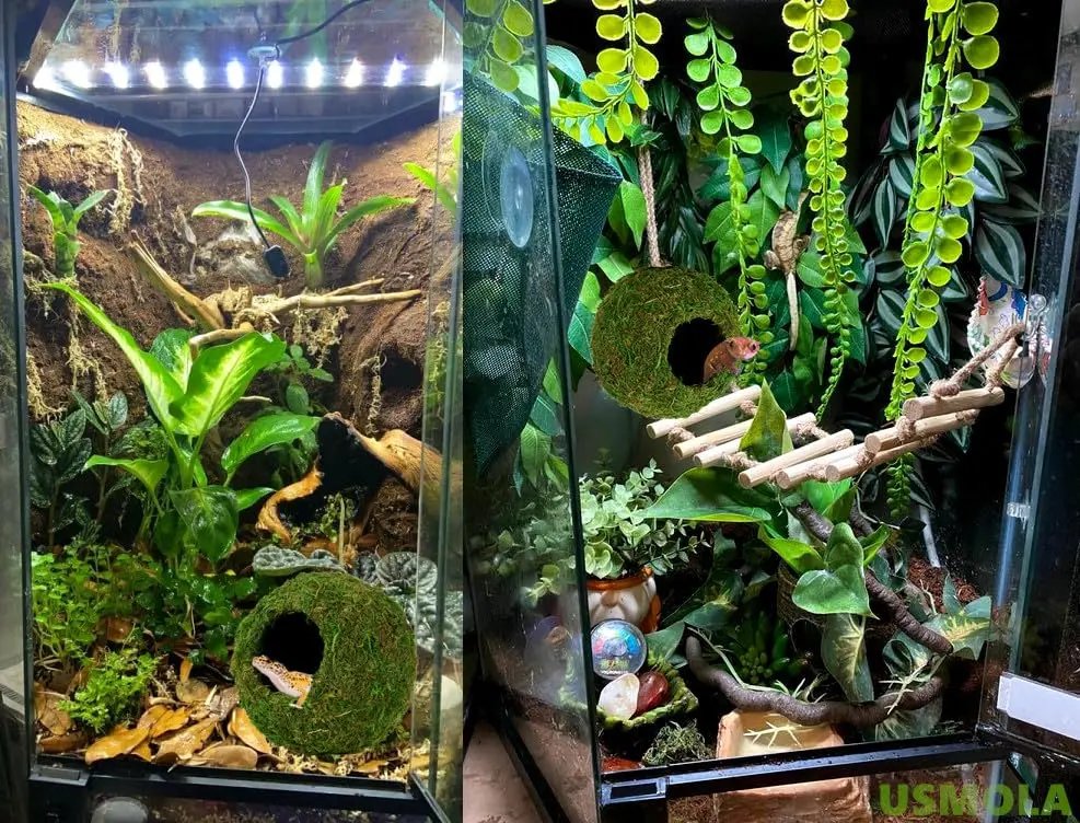 USMOLA Mossy Caves, Artificial Green Moss Hide for Reptiles & Amphibians | Durable Terrarium Decor (4" - Woodland Green) - view 5