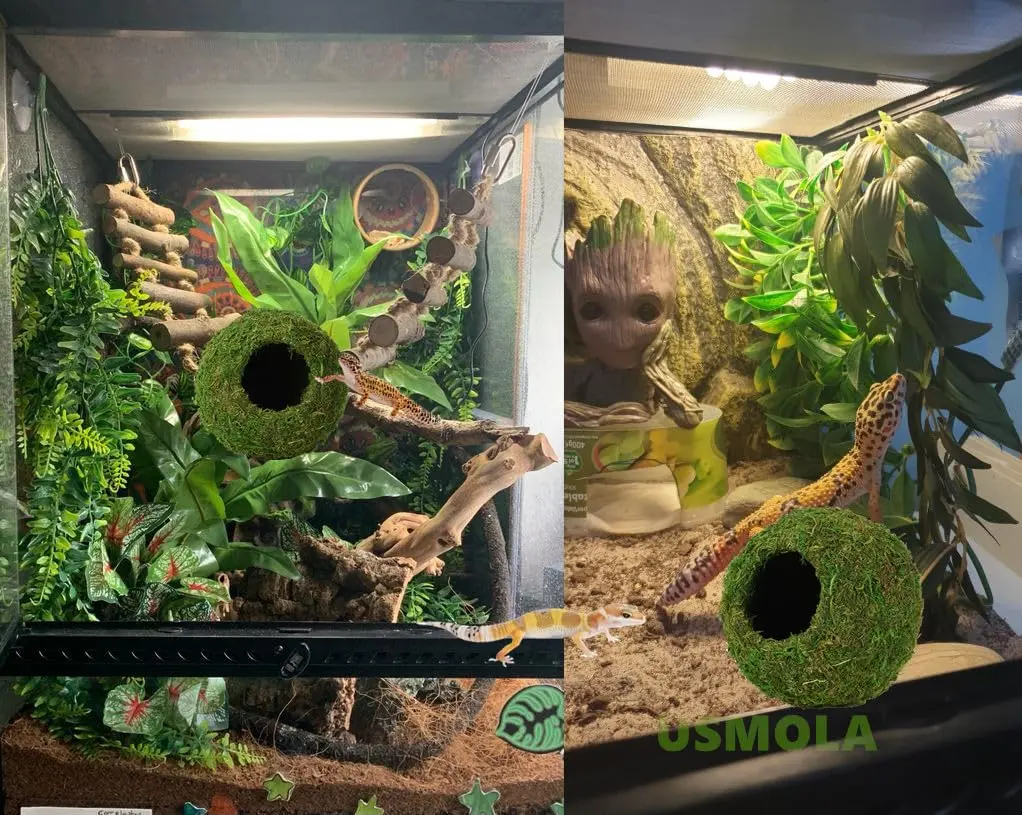 USMOLA Mossy Caves Hideout for Reptiles & Amphibians | 159g (5.6 oz) Woodland Green - view 6