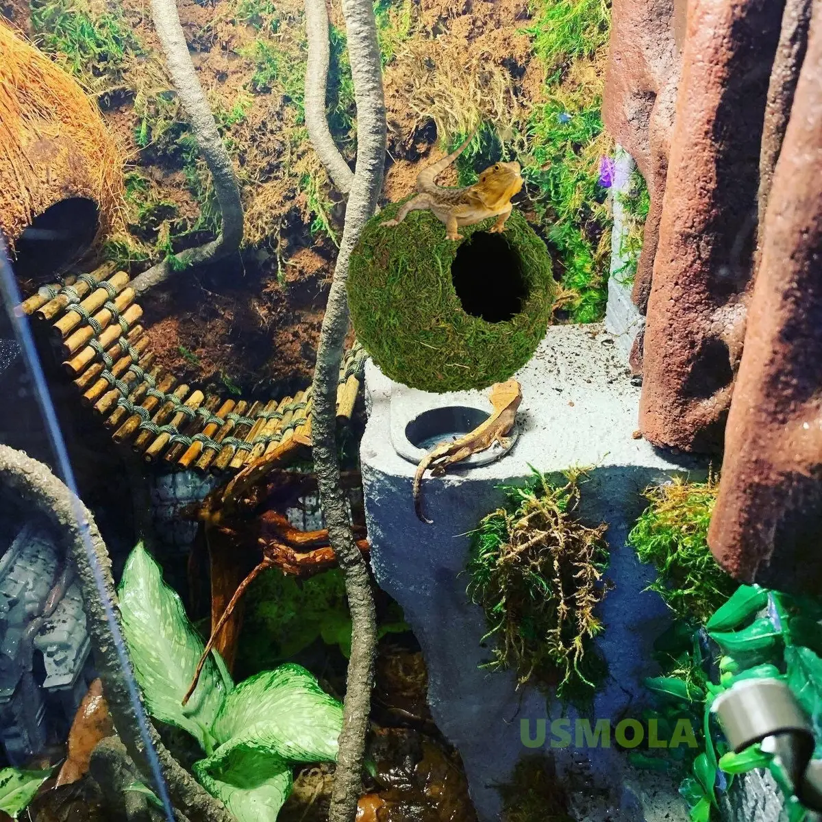USMOLA Mossy Caves Hideout for Reptiles & Amphibians | 159g (5.6 oz) Woodland Green - view 7