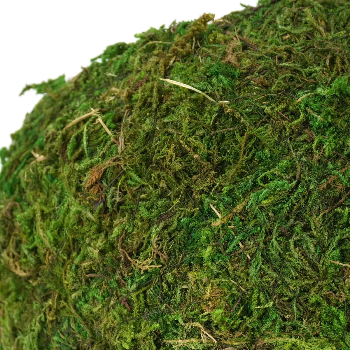 USMOLA Mossy Caves Hideout for Reptiles & Amphibians | 159g (5.6 oz) Woodland Green - view 8