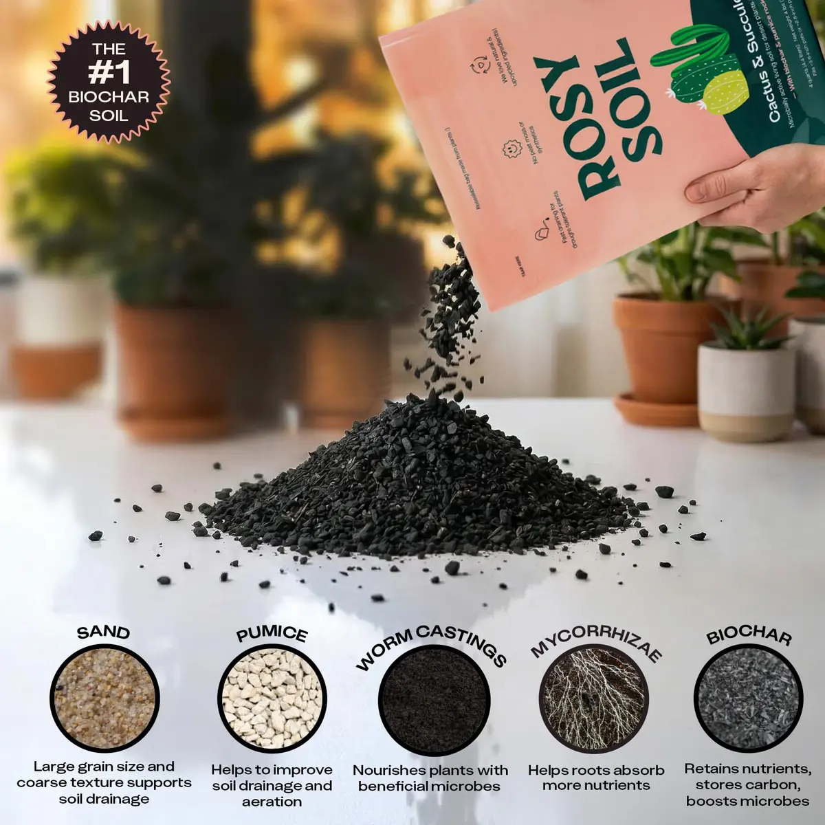 Rosy Soil Cactus & Succulent Potting Mix, 4 Quarts | Organic, Fast Draining, Peat-Free, Root Boosting - view 4
