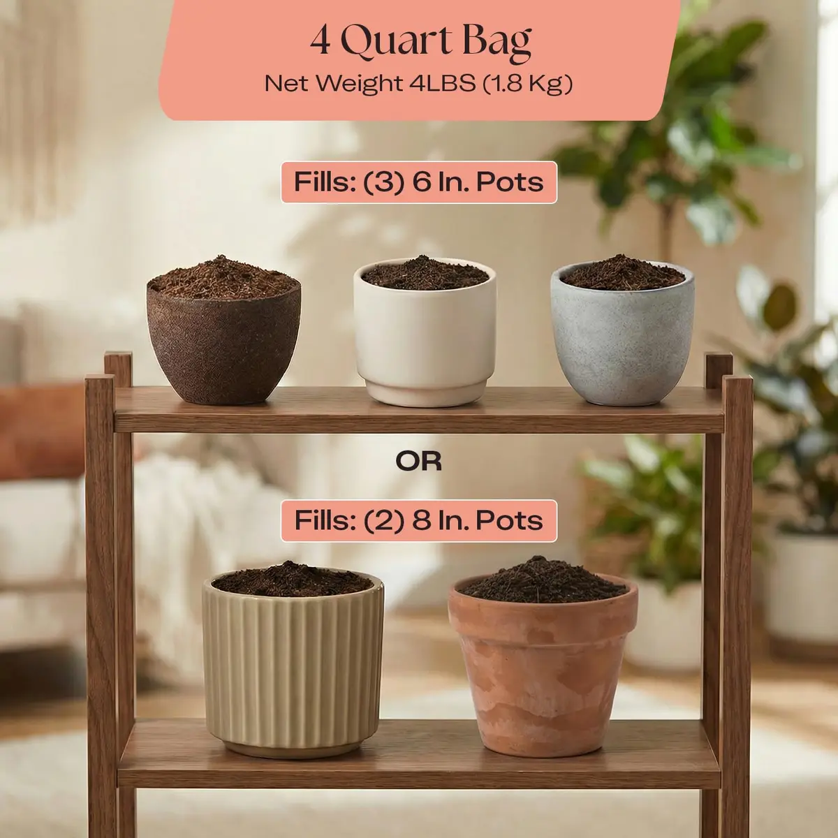 Rosy Soil Cactus & Succulent Potting Mix, 4 Quarts | Organic, Fast Draining, Peat-Free, Root Boosting - view 6