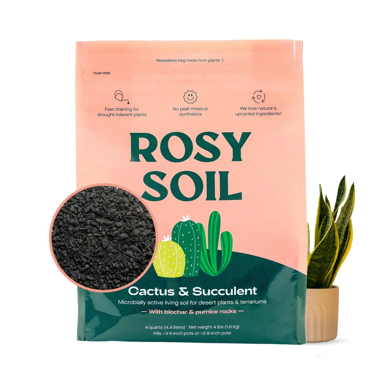 Rosy Soil Cactus & Succulent Potting Mix, 4 Quarts | Organic, Fast Draining, Peat-Free, Root Boosting - main product image