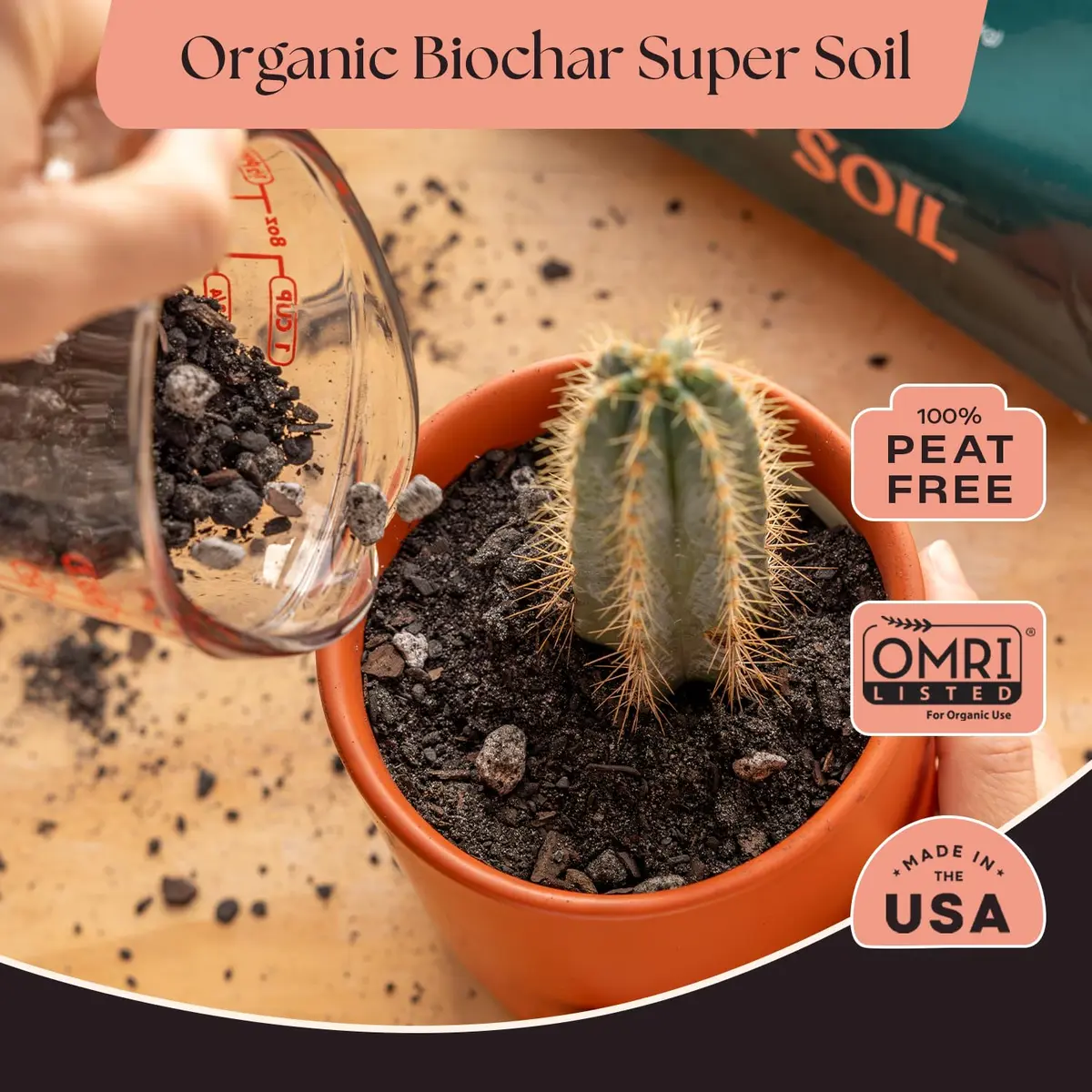 Rosy Soil Cactus & Succulent Potting Mix, 4 Quarts | Organic, Fast Draining, Peat-Free, Root Boosting - view 2