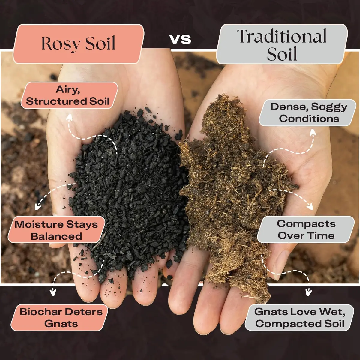 Rosy Soil Cactus & Succulent Potting Mix, 4 Quarts | Organic, Fast Draining, Peat-Free, Root Boosting - view 3
