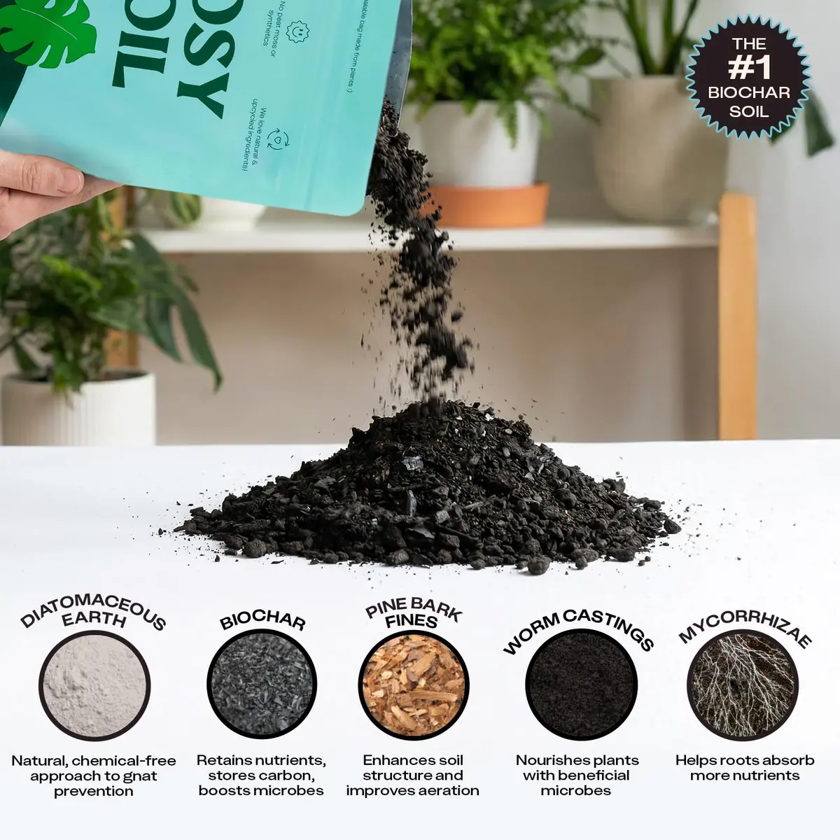 Rosy Soil Houseplant Potting Soil, Organic Indoor Mix, 4 Quarts | Peat-Free, Biochar Enriched - view 4