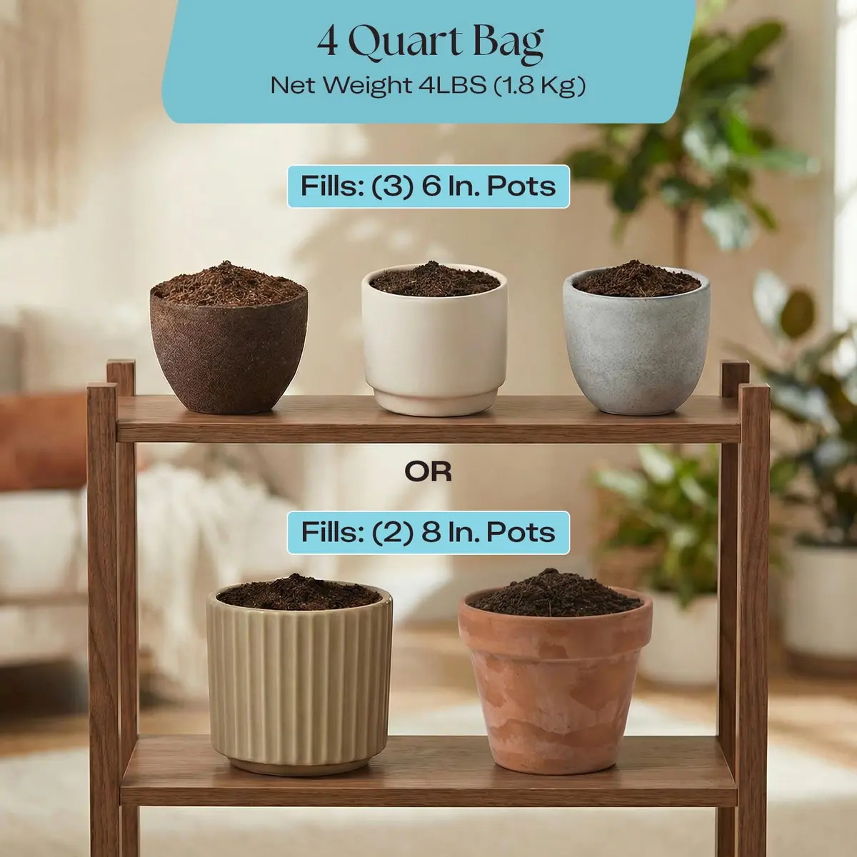 Rosy Soil Houseplant Potting Soil, Organic Indoor Mix, 4 Quarts | Peat-Free, Biochar Enriched - view 6