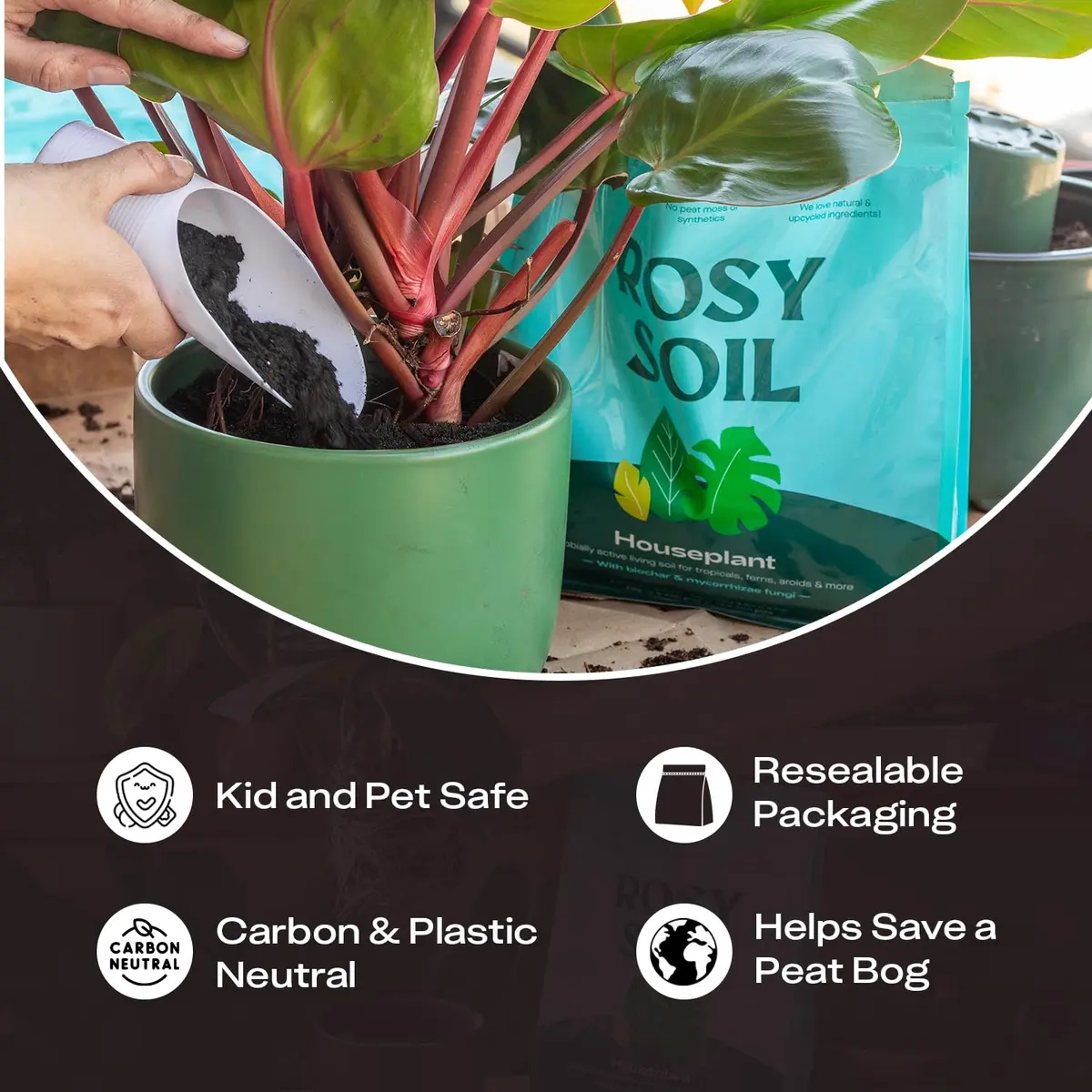 Rosy Soil Houseplant Potting Soil, Organic Indoor Mix, 4 Quarts | Peat-Free, Biochar Enriched - view 7