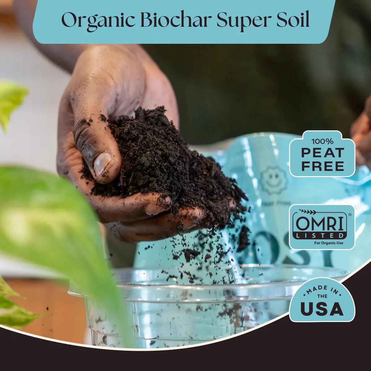Rosy Soil Houseplant Potting Soil, Organic Indoor Mix, 4 Quarts | Peat-Free, Biochar Enriched - view 2