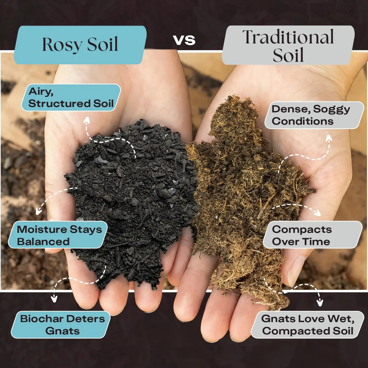 Rosy Soil Houseplant Potting Soil, Organic Indoor Mix, 4 Quarts | Peat-Free, Biochar Enriched - view 3