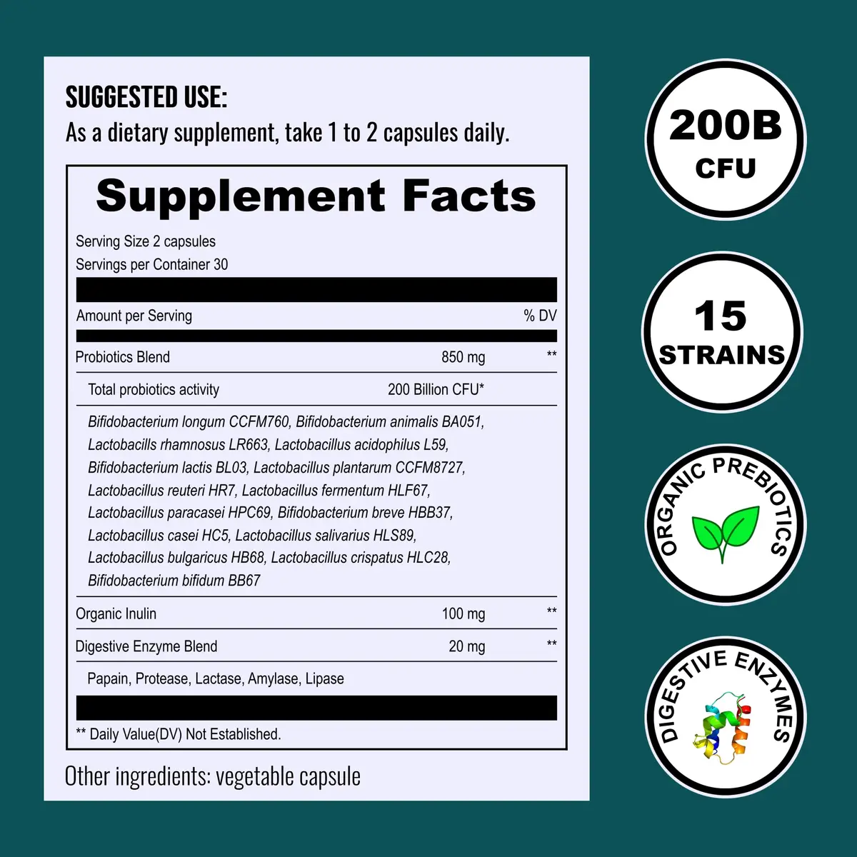 UpNourish Probiotics 200B CFUs | Vegan Capsules for Digestive Health Support - view 5