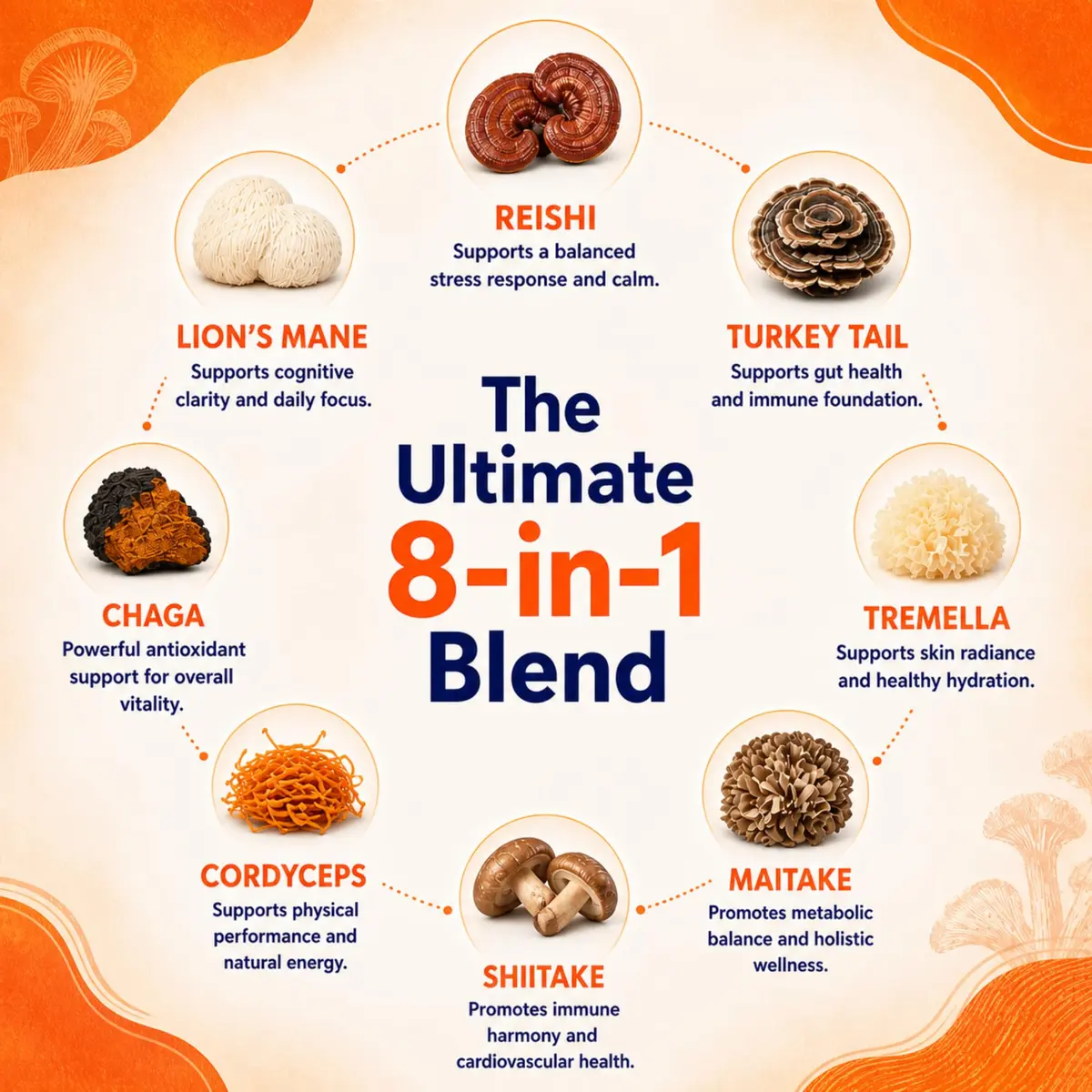Malama Organic 8-Mushroom Powder Blend - view 3