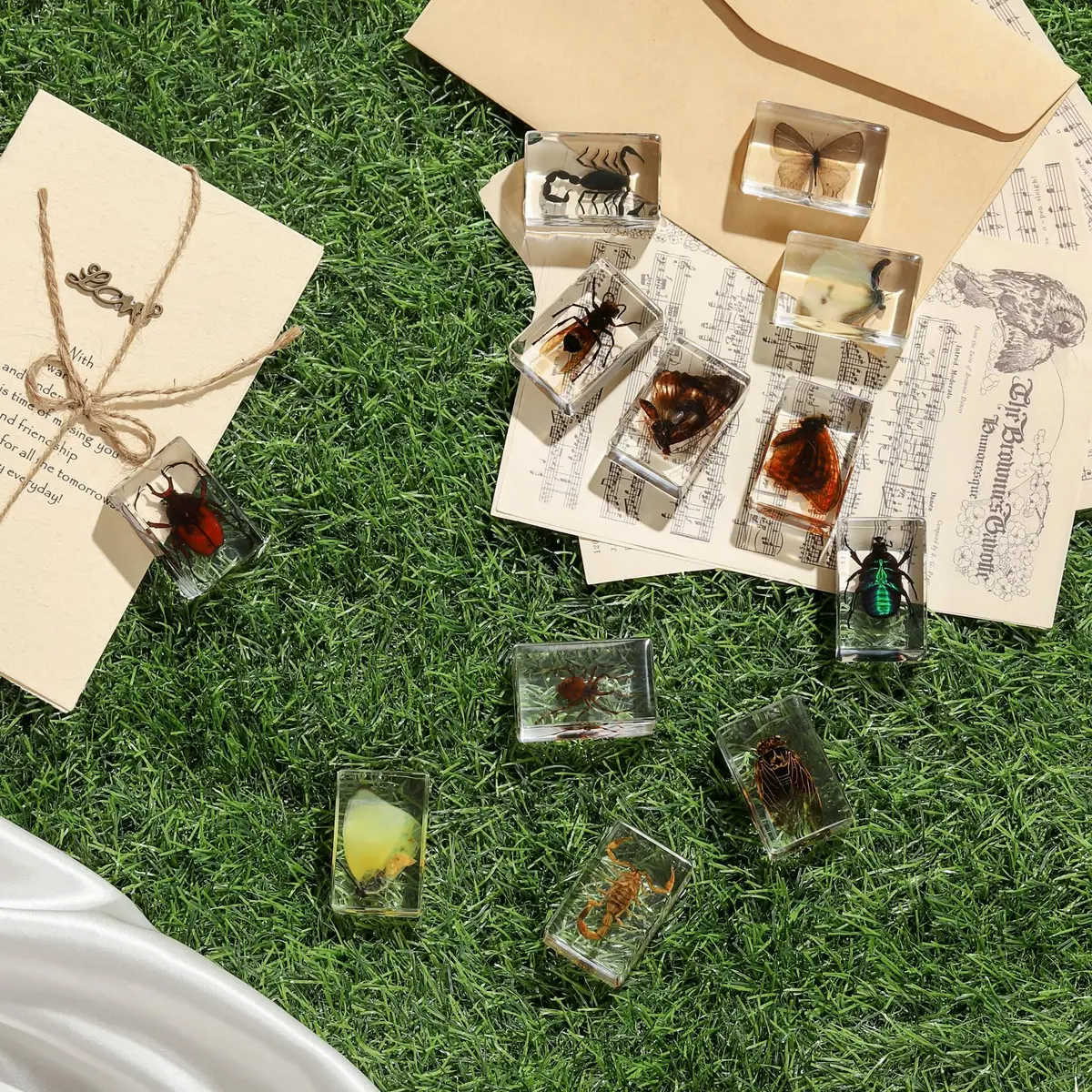 Pokiphip 12 Pcs Insect in Resin Collection | Educational Bug Specimen Set for Kids & Classroom (110c) - view 5