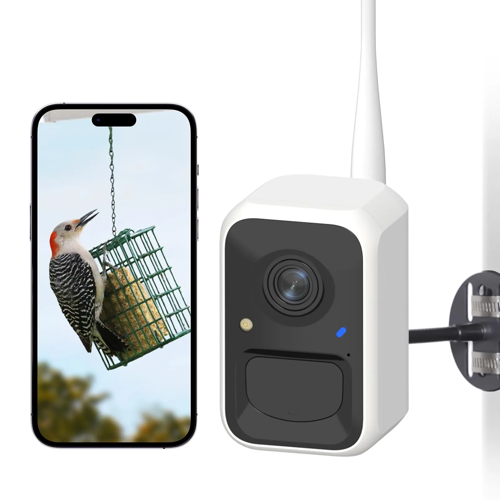 Feeder Accessories