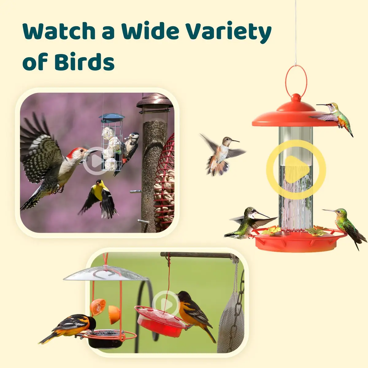 NETVUE Birdfy Smart Bird Camera with Adjustable Brackets | AI Bird ID & 6000+ Species - view 6