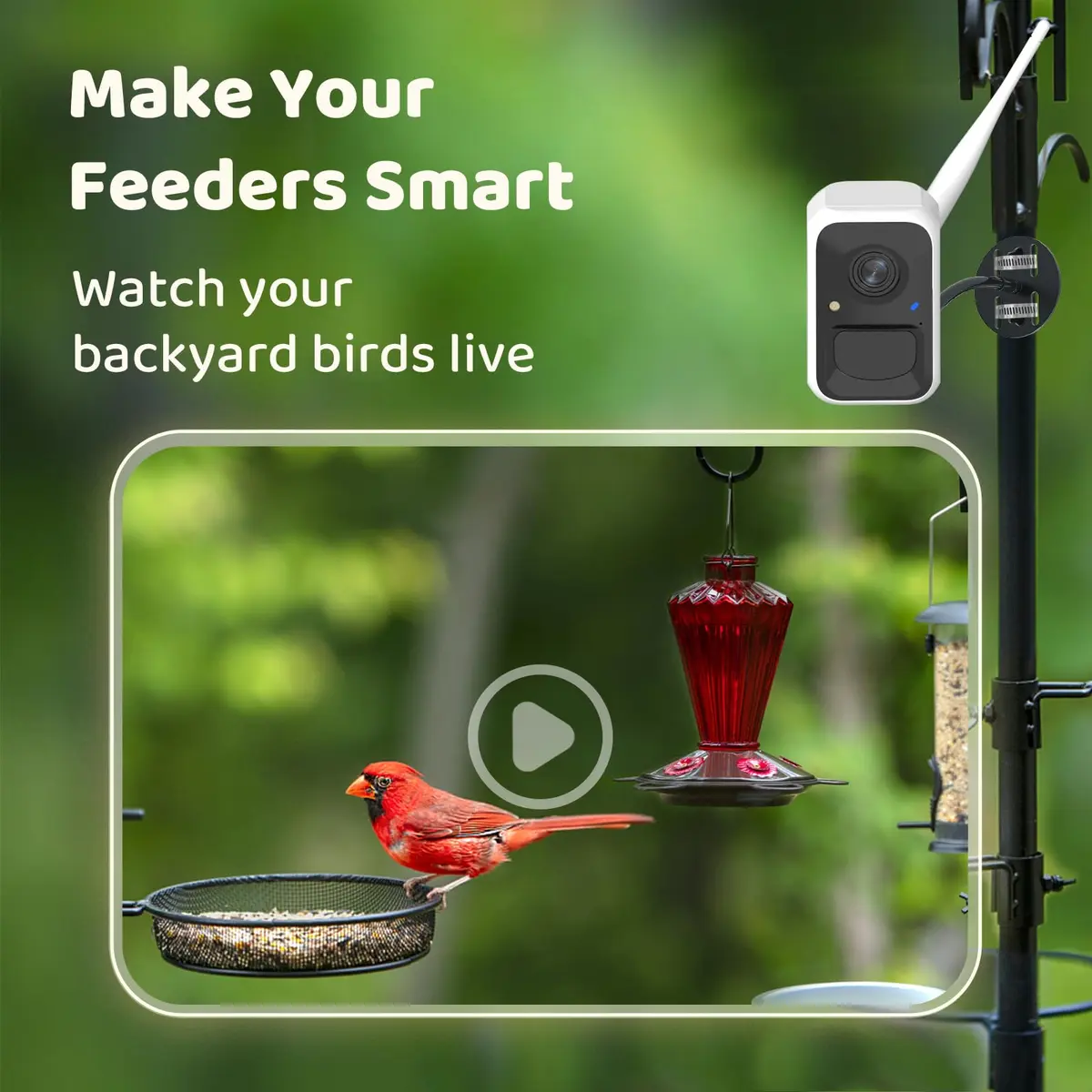 NETVUE Birdfy Smart Bird Camera with Adjustable Brackets | AI Bird ID & 6000+ Species - view 2