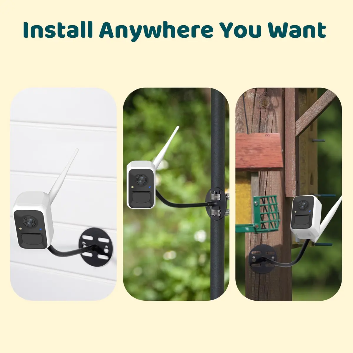 NETVUE Birdfy Smart Bird Camera with Adjustable Brackets | AI Bird ID & 6000+ Species - view 4