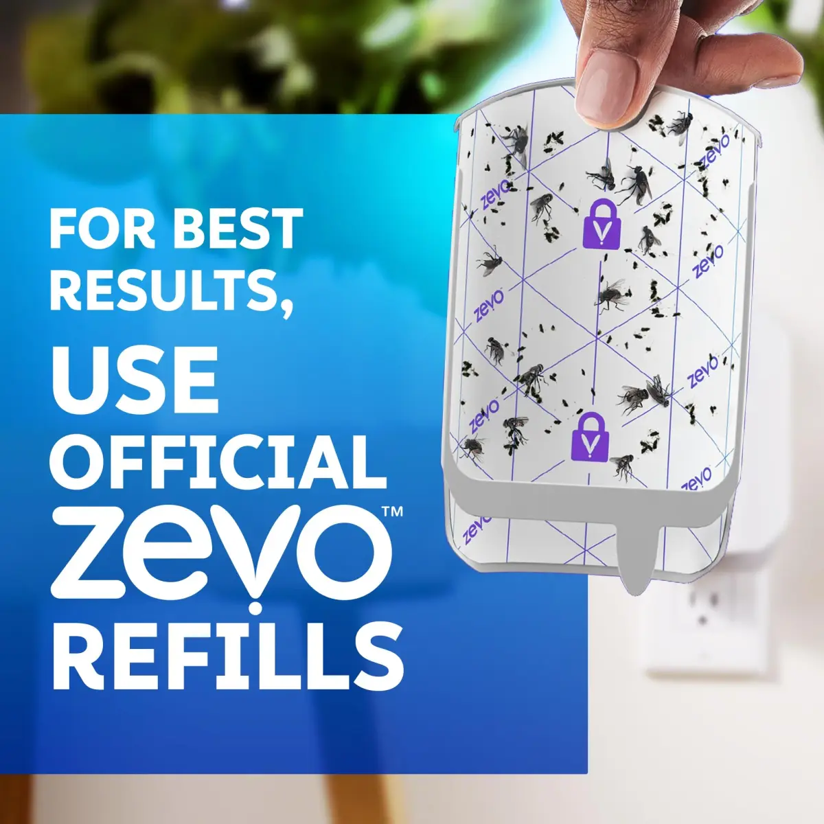 ZEVO Flying Insect Trap with 3 Refills | Catches Fruit Flies, Gnats, House Flies 24/7 Indoors - view 5