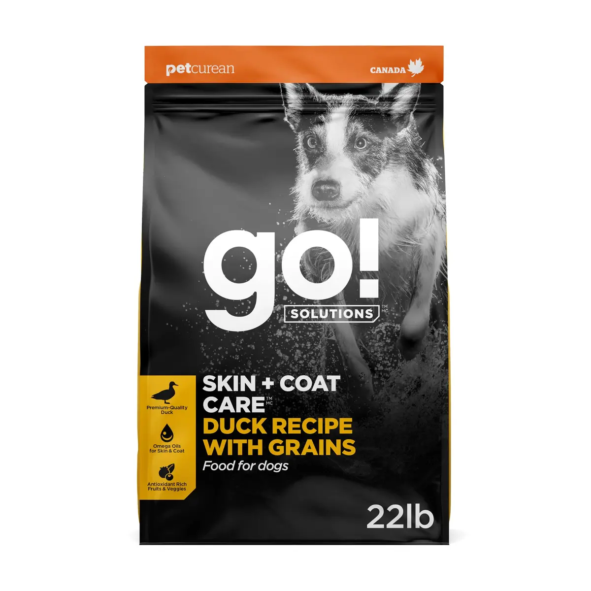 Go! Solutions Skin + Coat Care Duck Dry Dog Food, 22 lb | Supports Healthy Skin & Lustrous Coat - main product image