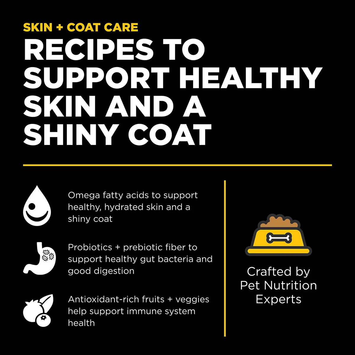 Go! Solutions Skin + Coat Care Duck Dry Dog Food, 22 lb | Supports Healthy Skin & Lustrous Coat - view 2