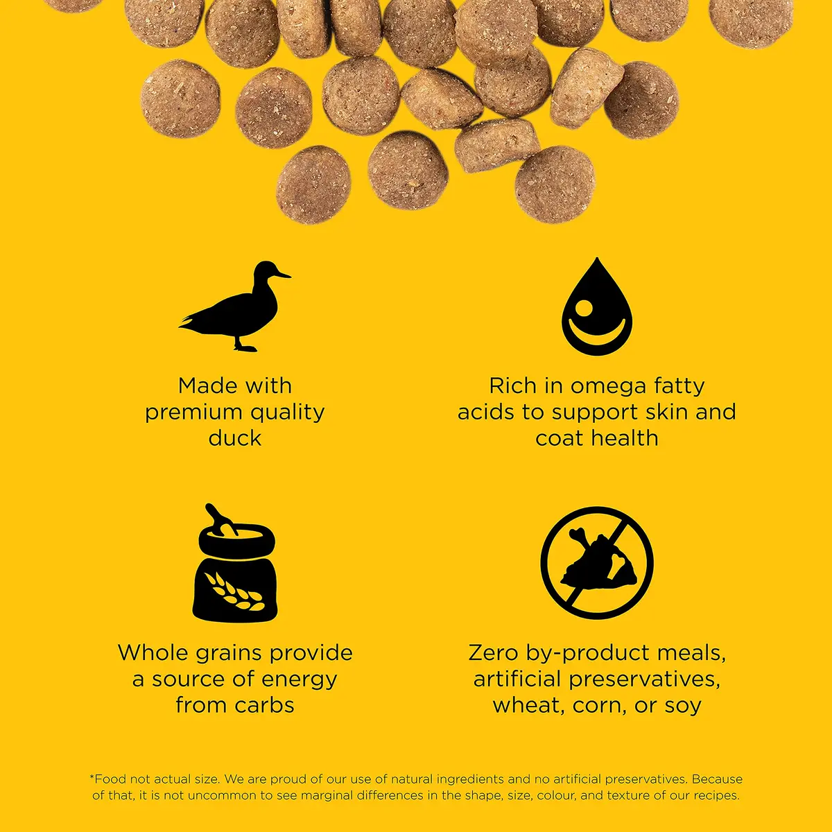 Go! Solutions Skin + Coat Care Duck Dry Dog Food, 22 lb | Supports Healthy Skin & Lustrous Coat - view 3