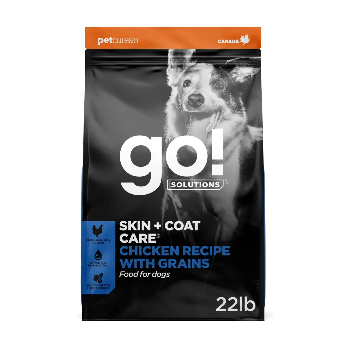 Go! Solutions Skin + Coat Care Chicken Dry Dog Food, 22 lb | Supports Healthy Skin & Shiny Coat - main product image