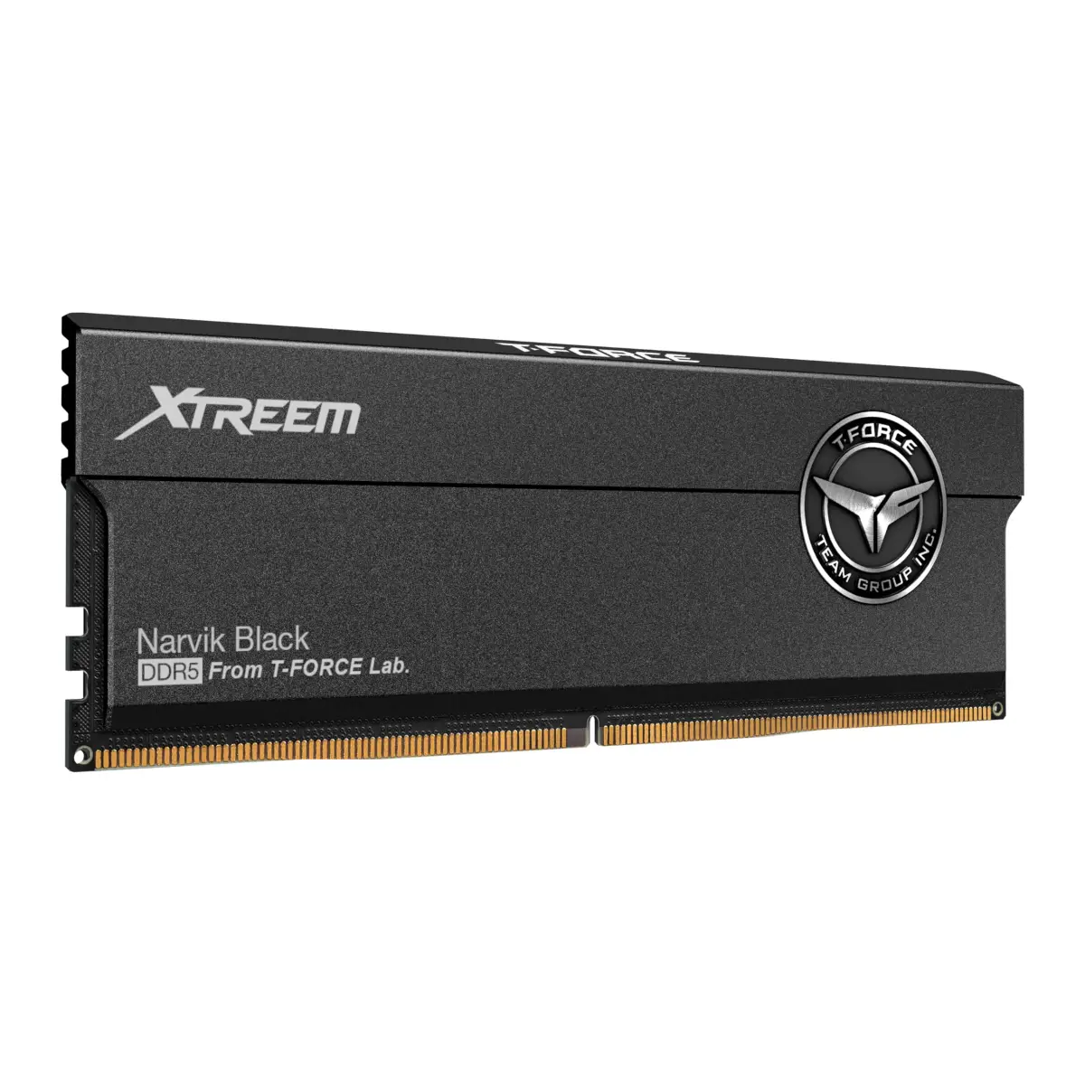 TEAMGROUP T-Force XTREEM DDR5 RAM 32GB (2x16GB) 7600MHz CL36 Black | High-Performance Desktop Memory Module - view 3