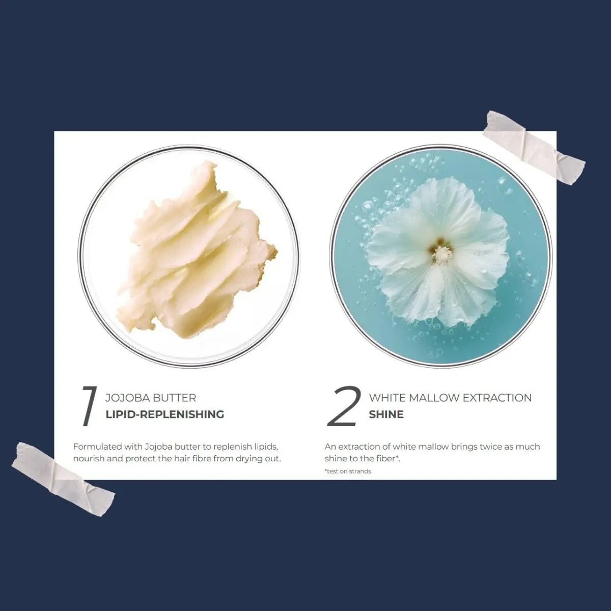 PHYTO NOURISHMENT Ultra-nourishing Mask with Jojoba Oil, For Dry Hair, Hydrating, Moisturizing Mask, 6.76 fl. oz. - view 7