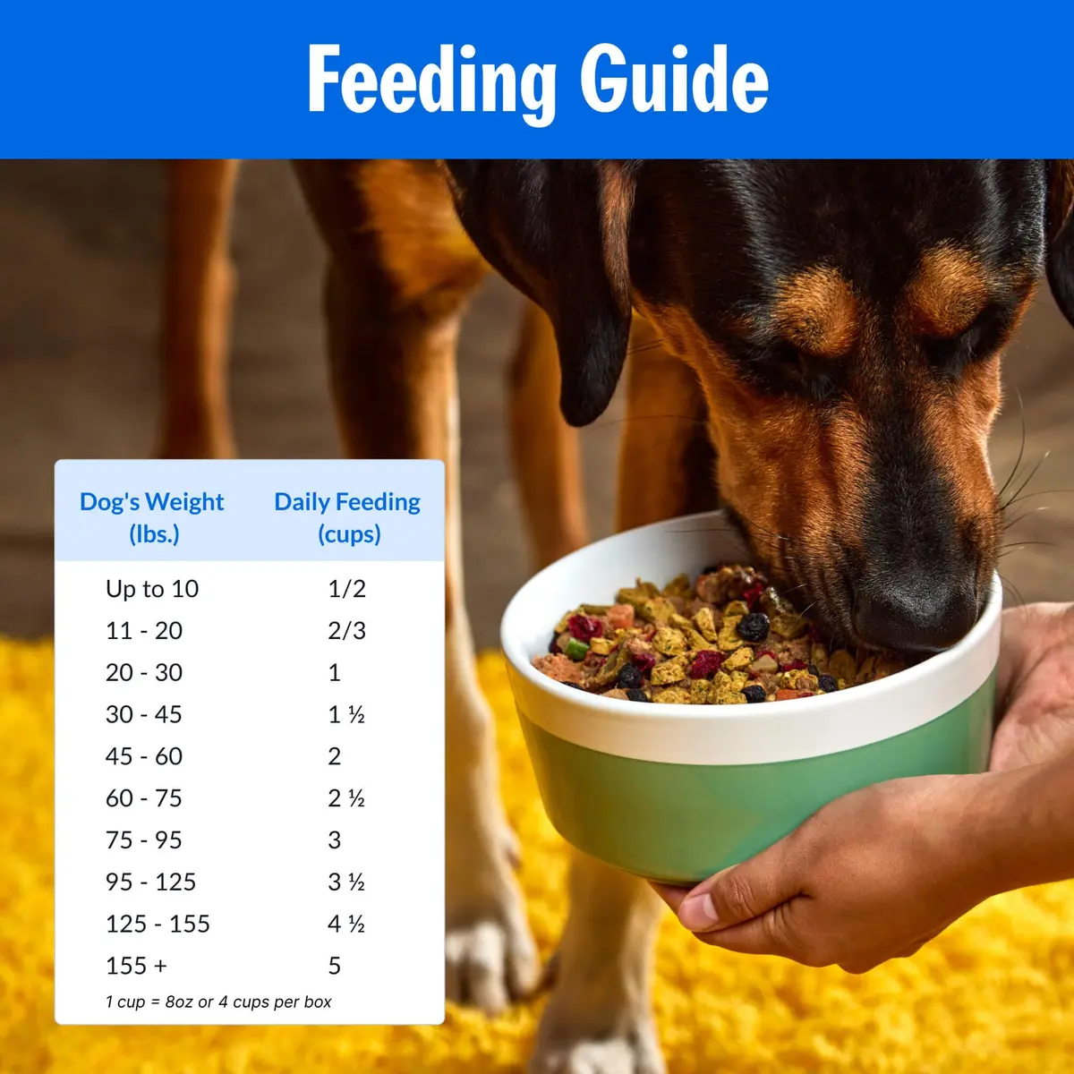 PetPlate Roost Rulin' Chicken Air-Dried Dog Food 2lbs | Human-Grade, Grain-Free, Supports Digestion & Fresh Breath - view 7