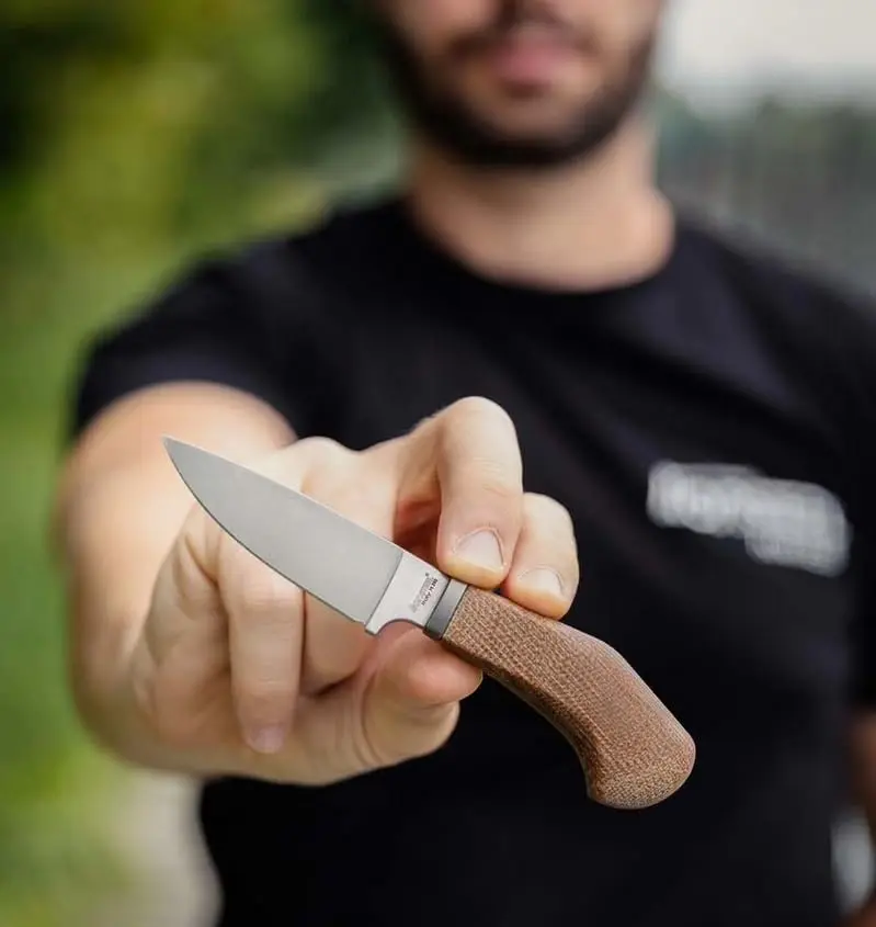 LionSteel WILLY Compact Fixed Blade Knife | Italian M390 Steel, Solid Handle, Titanium Guard (Olive Wood) - view 6