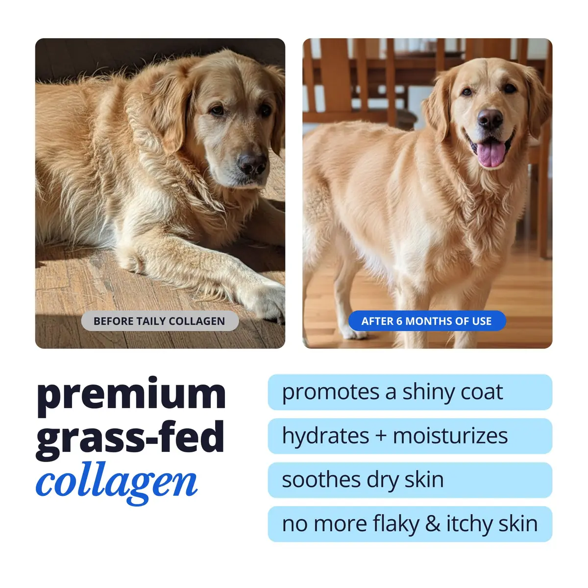Taily Liquid Collagen for Dogs & Cats, 4 Fl Oz | Itch & Coat Support with Grass Fed Collagen - view 2