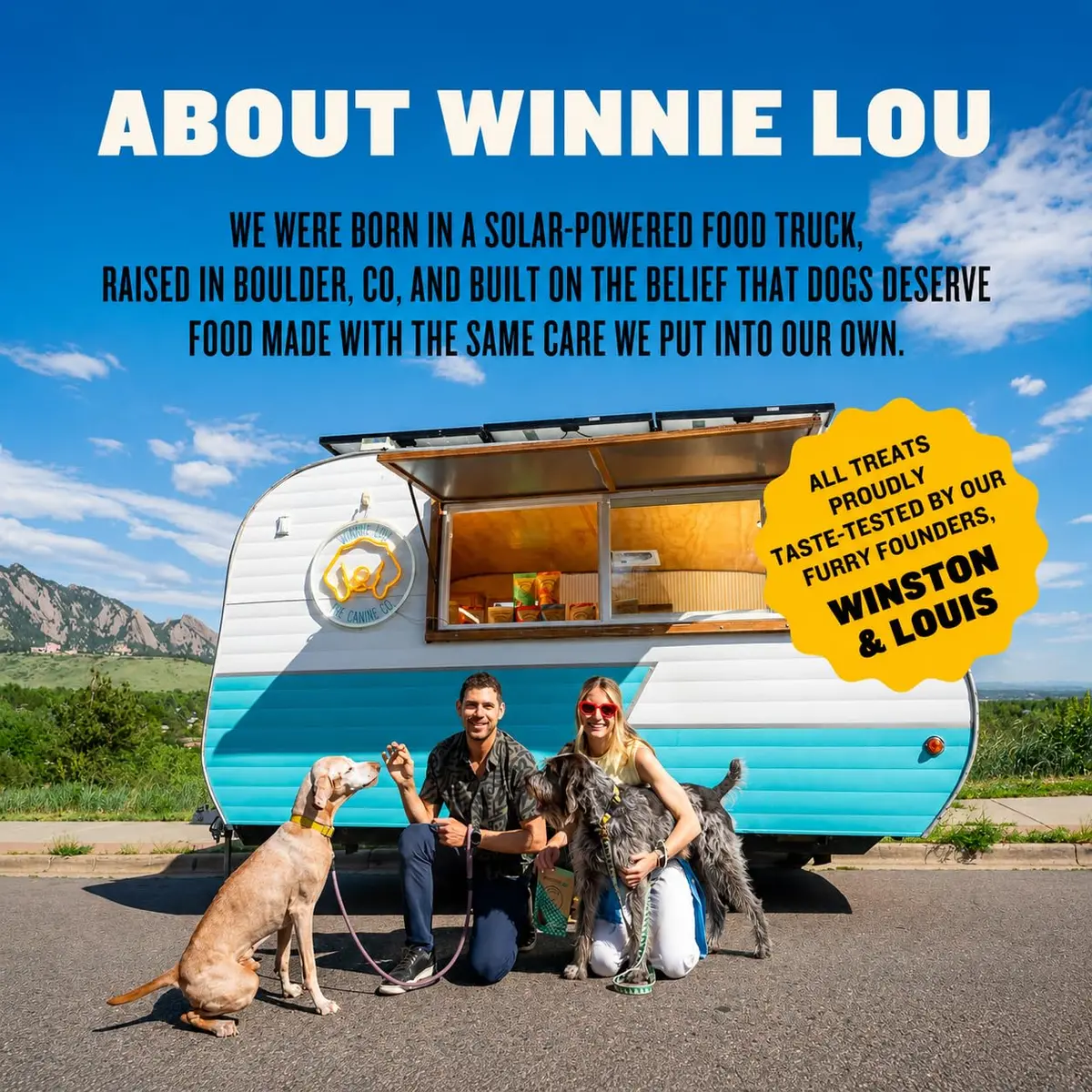 Winnie Lou Organic Jerky Dog Treats Bison Liver Tidbits 2 Pack | All Natural, Human Grade Dog Jerky - view 5